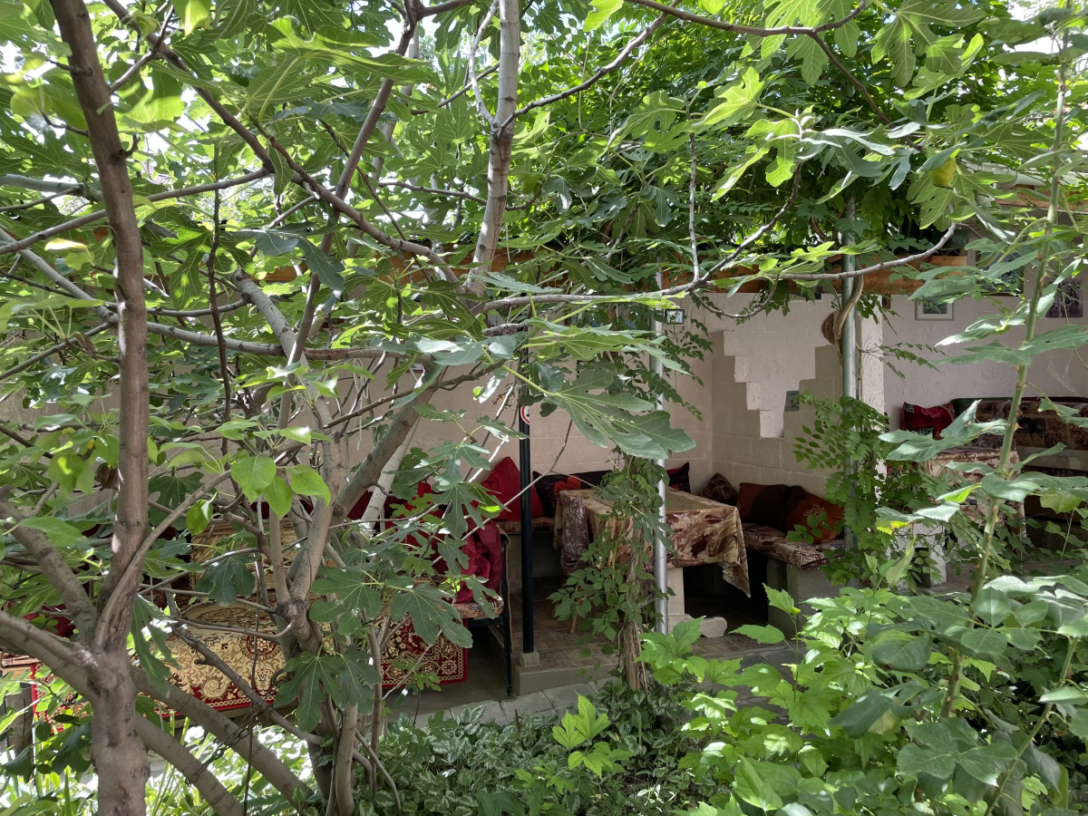 Меблированные комнаты Николь