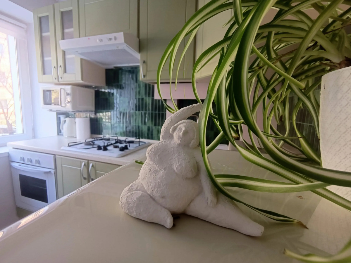 Апартаменты Акцент у Музея Марципана