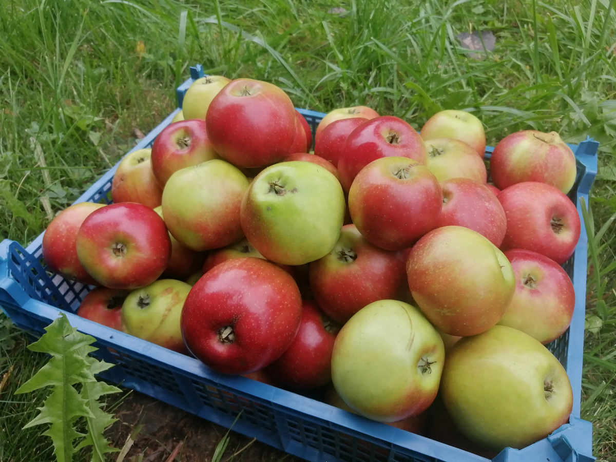 Гостевой дом Окулова Заимка