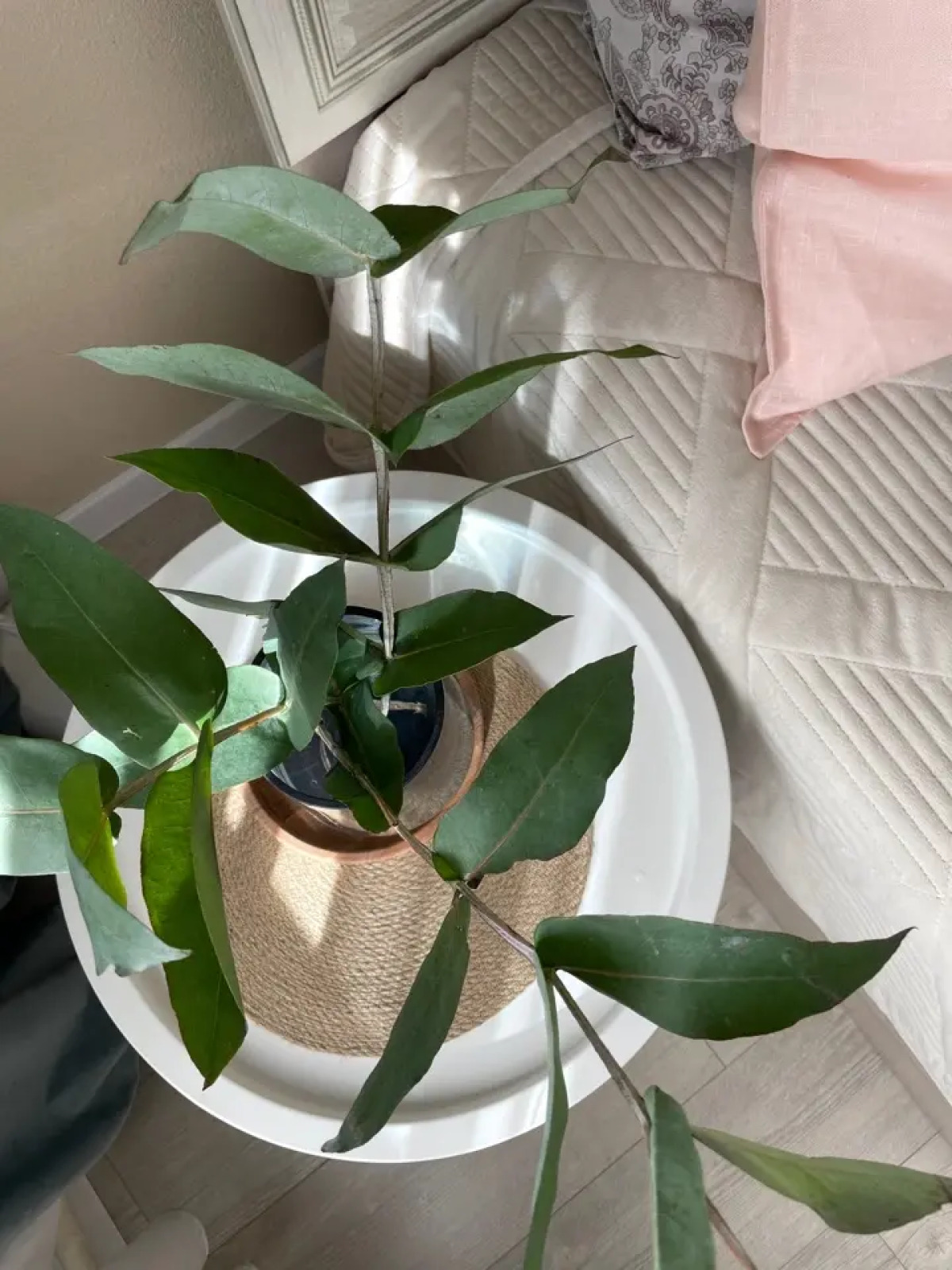 Апартаменты на Улице Десятинная 10