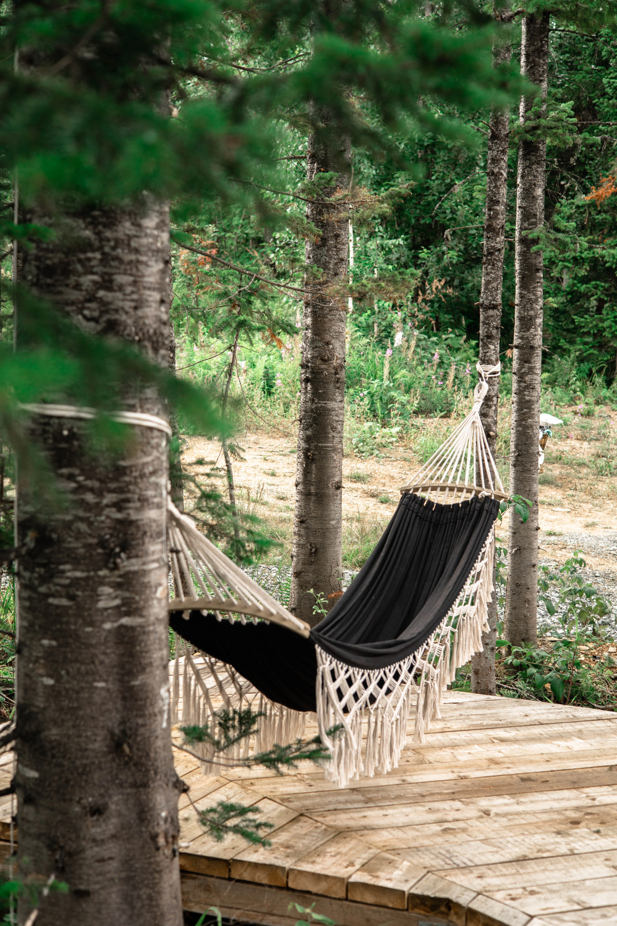 Кемпинг DzenDome