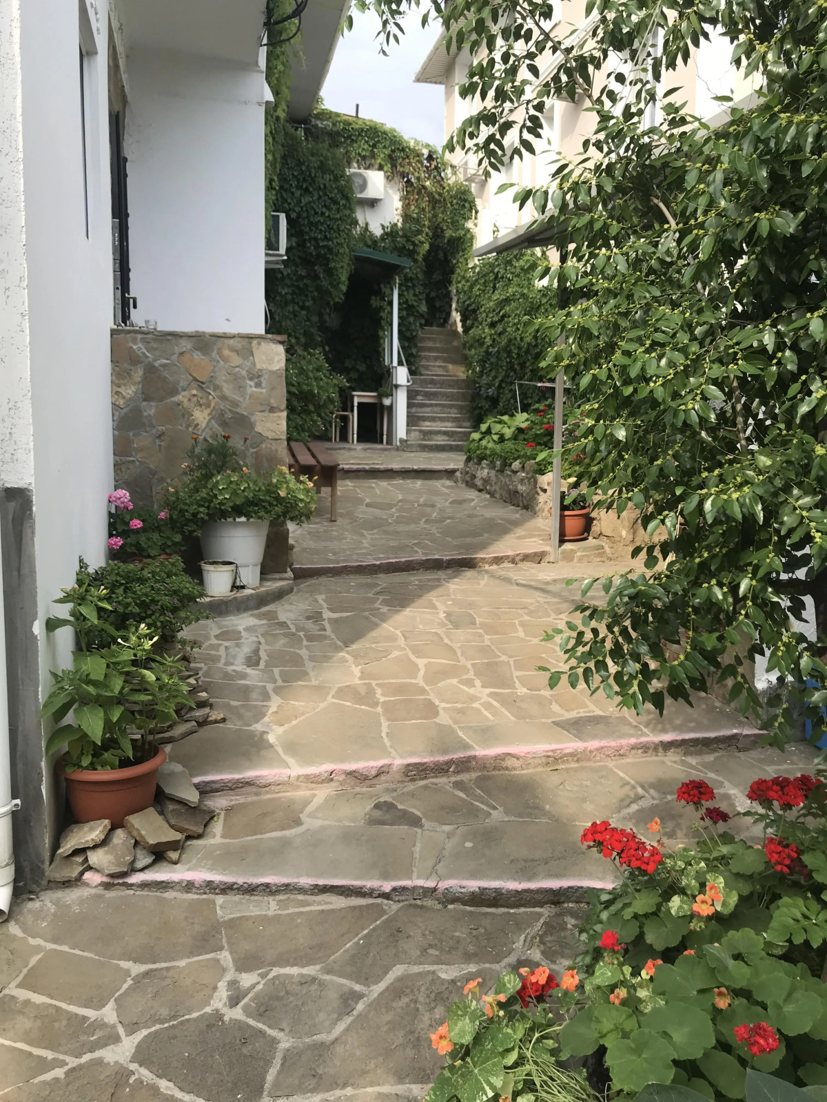 Меблированные комнаты Николь