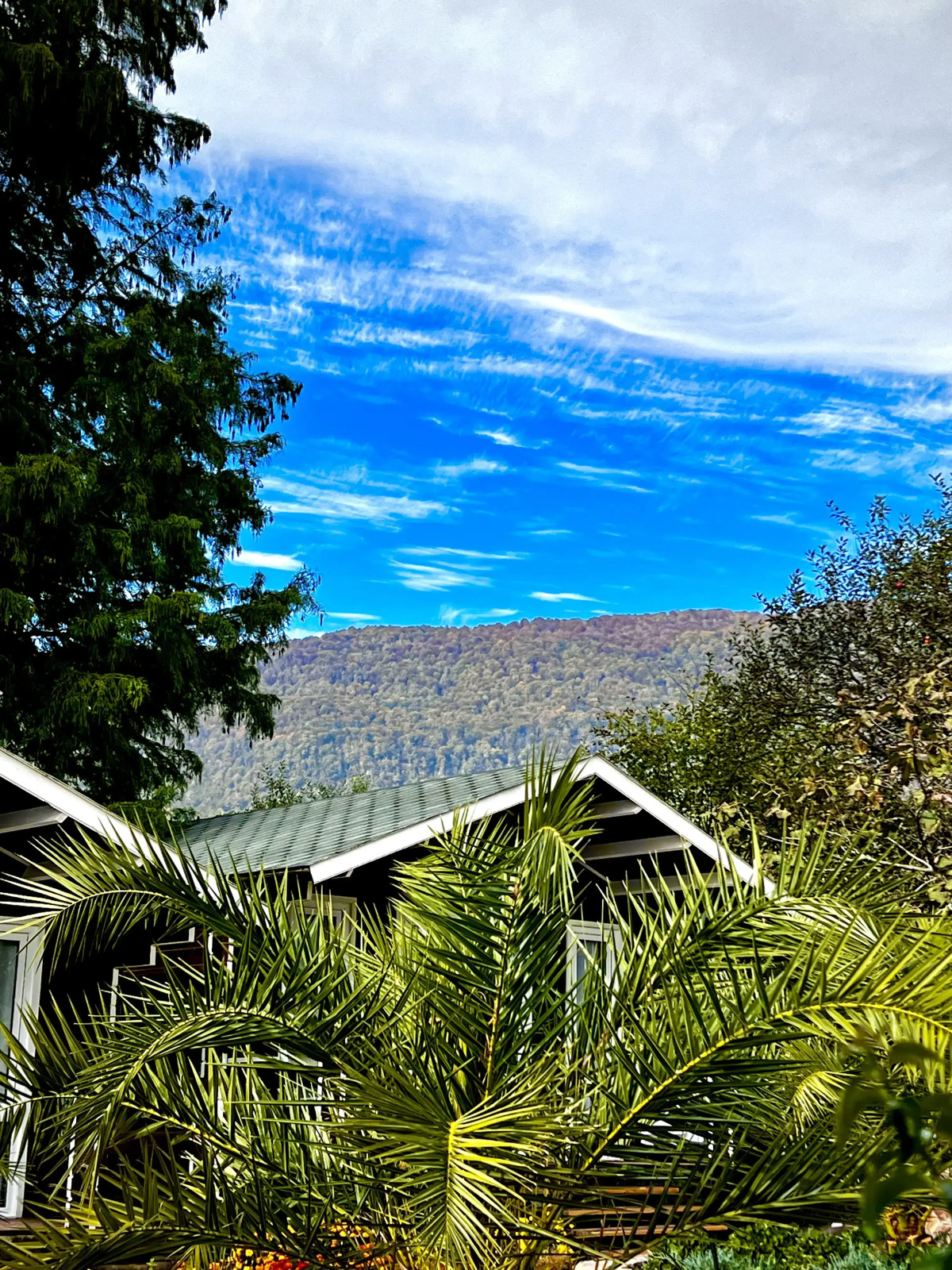 База отдыха Флора