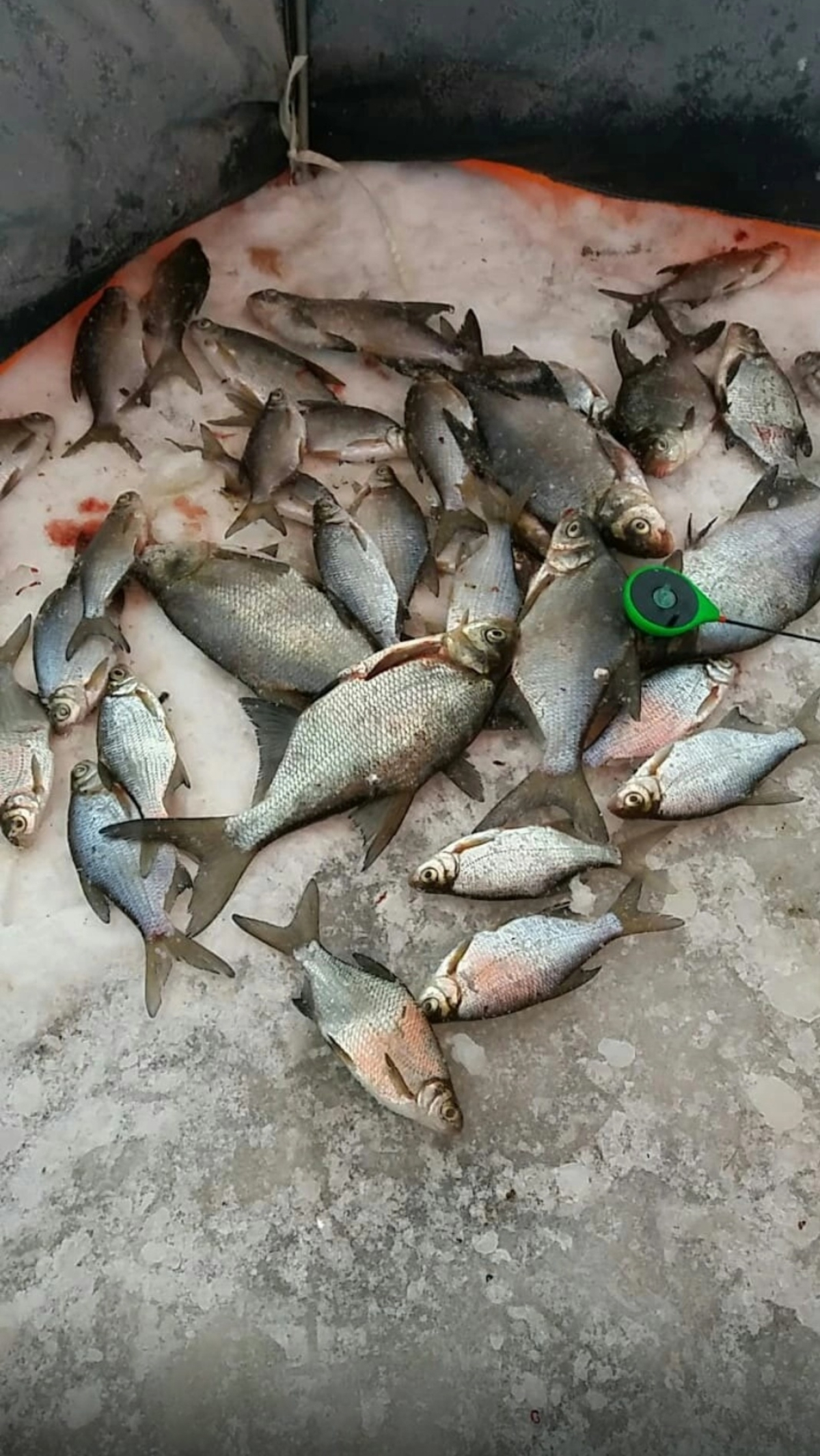 Апартаменты Отдых на Селигере турбаза Чайка