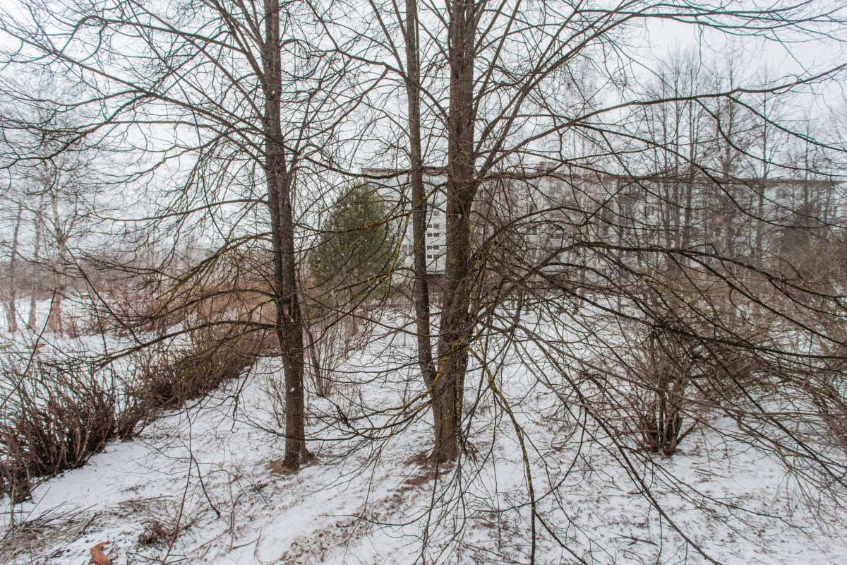 Апартаменты на улице Генерала Вотинцева 8