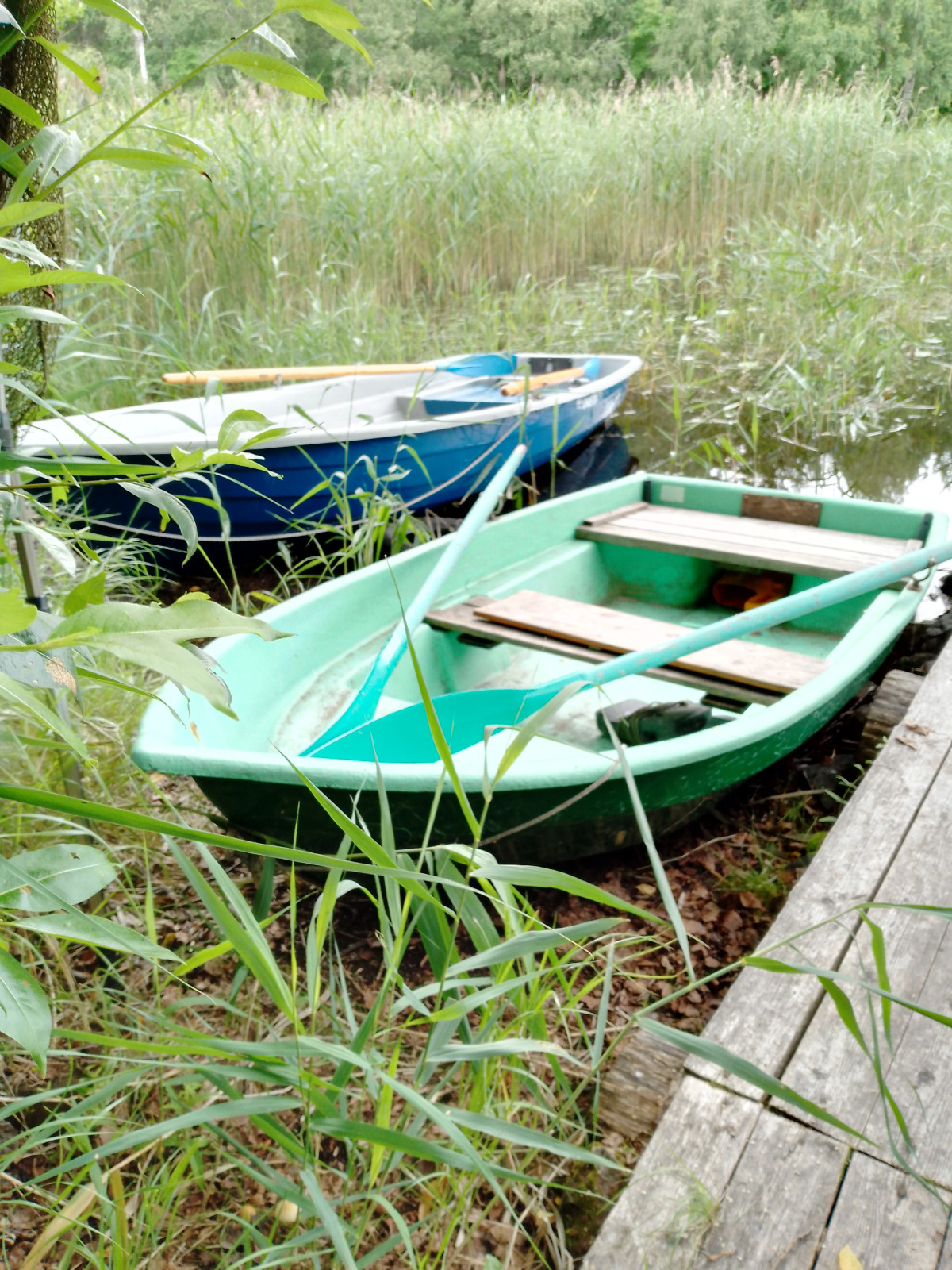 Гостевой дом Лубяной домик с видом на озеро