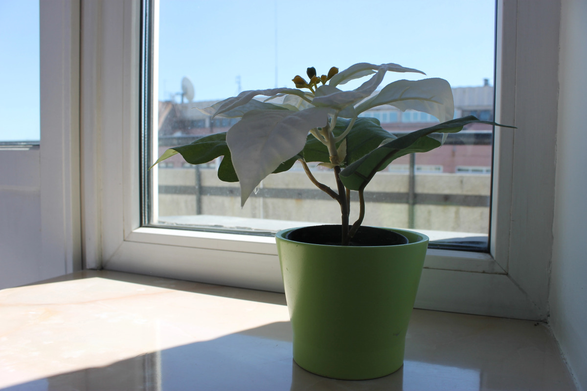 Мини-Отель В центре