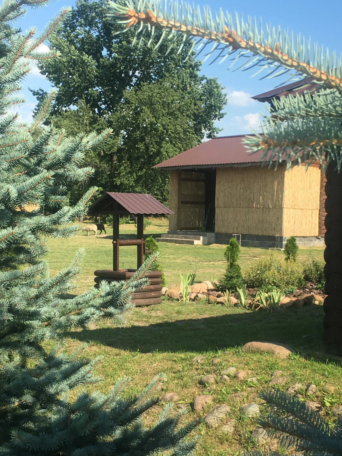 Гостевой Дом агроусадьба постоялый двор Багнюки