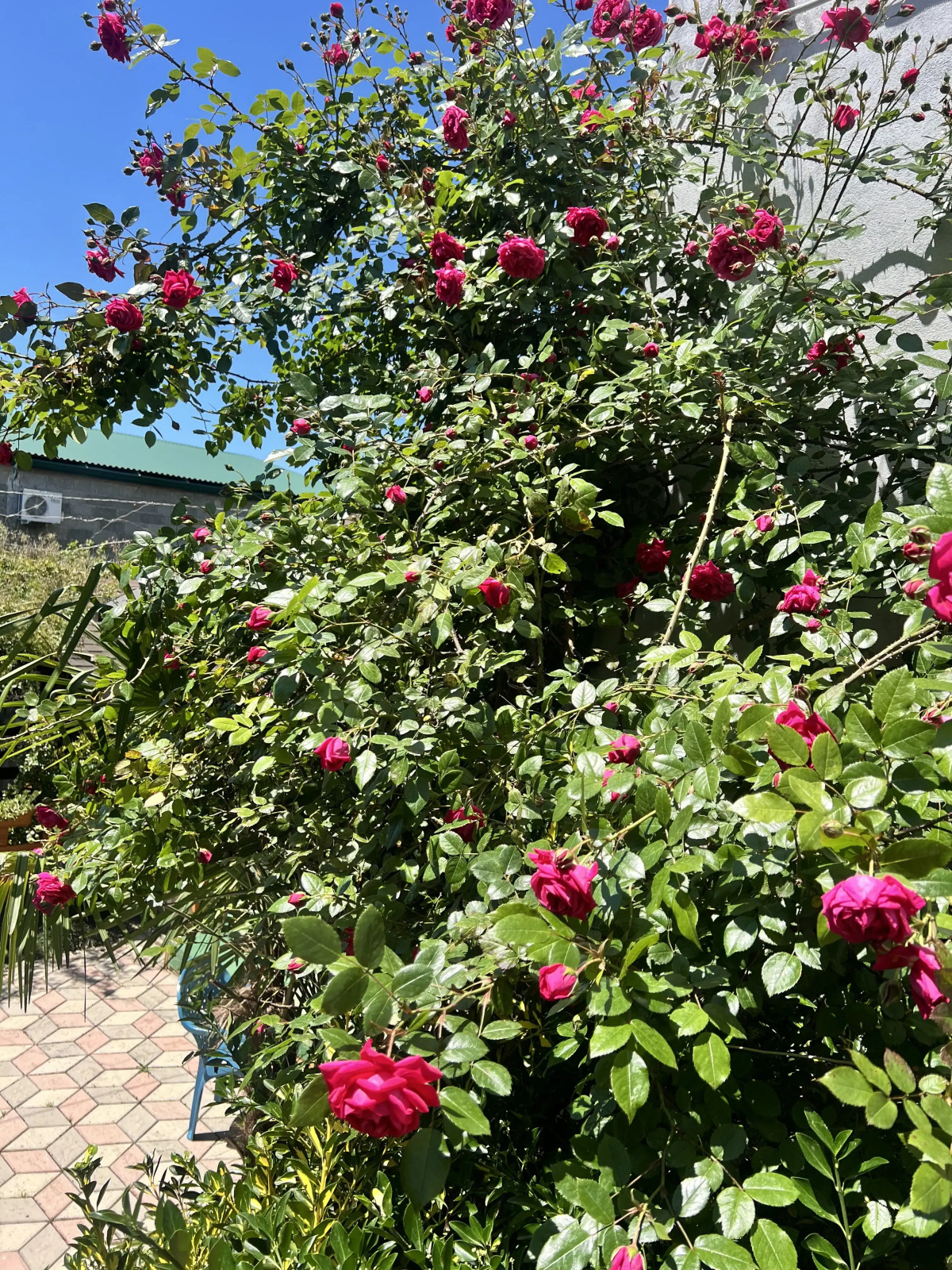 Гостевой дом Амальфи