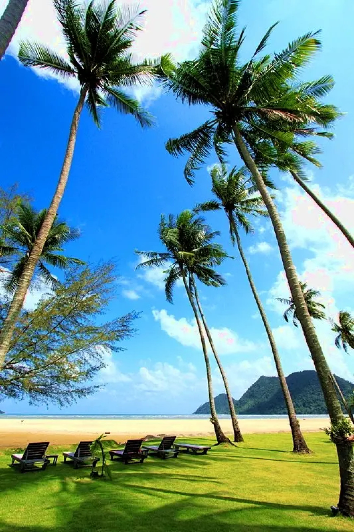 Апартаменты Siam Royal View