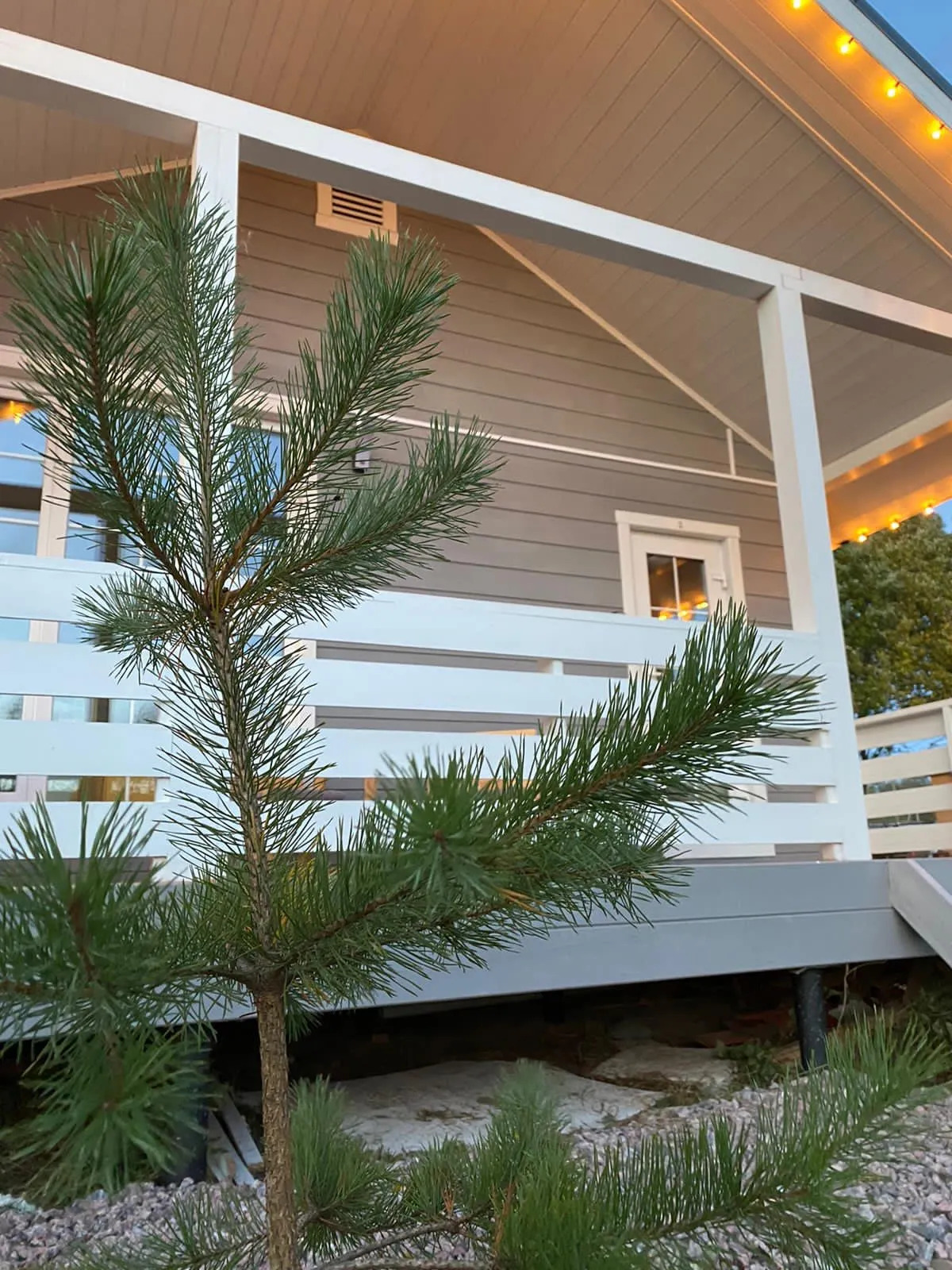 Шале Везувий