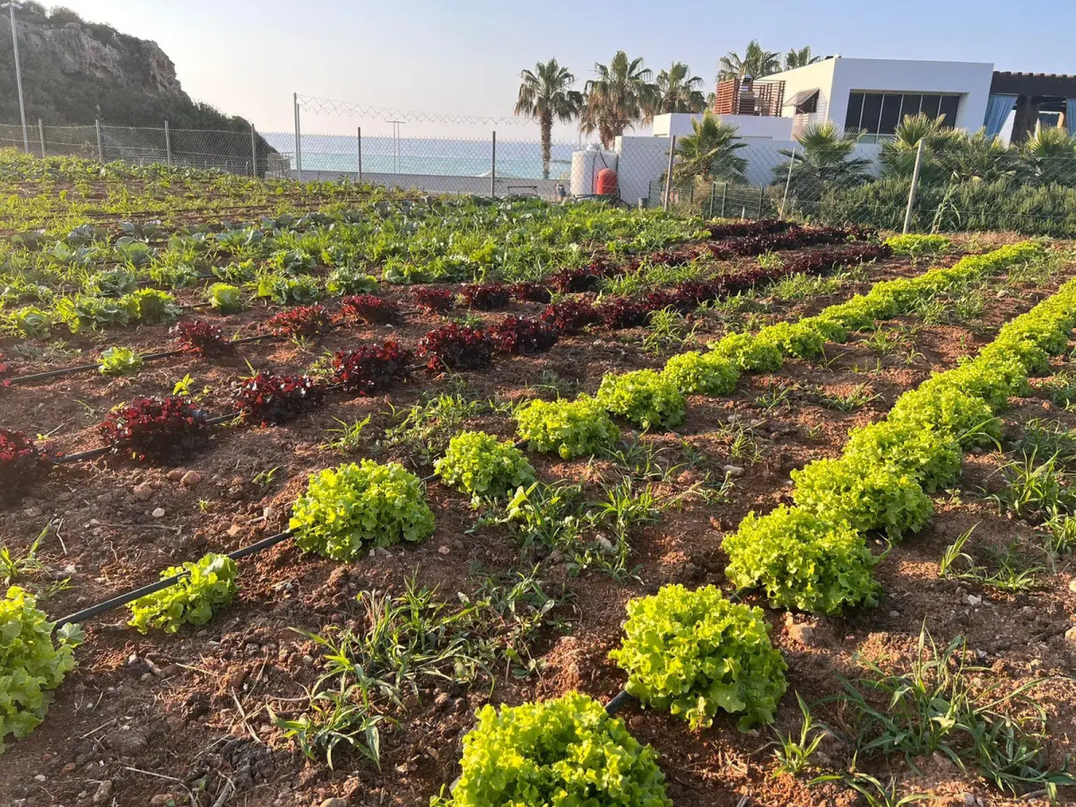 Отель Karpaz Gate Marina