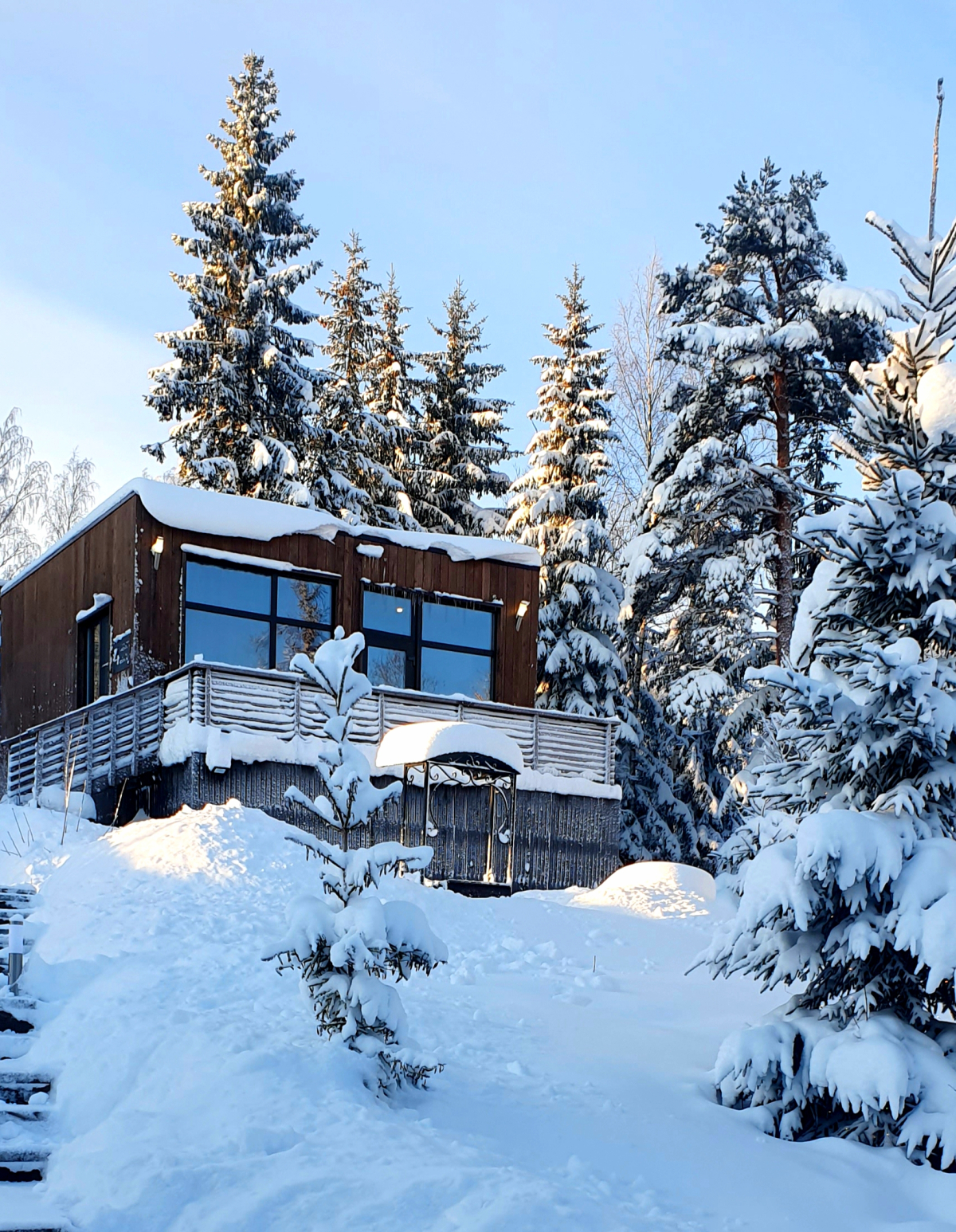 Коттедж Черничный Склон Orhid House