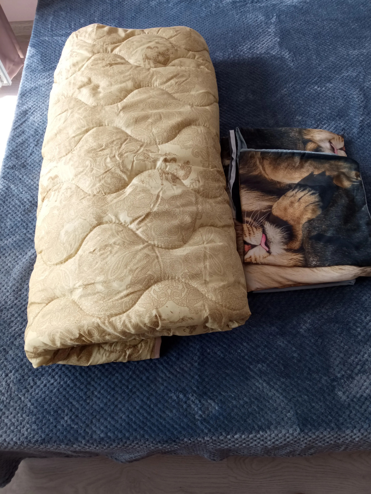 Квартира северная звезда 1