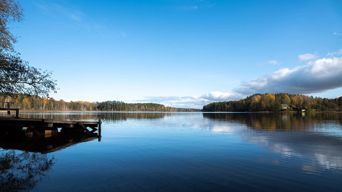 Отель База отдыха Заветное