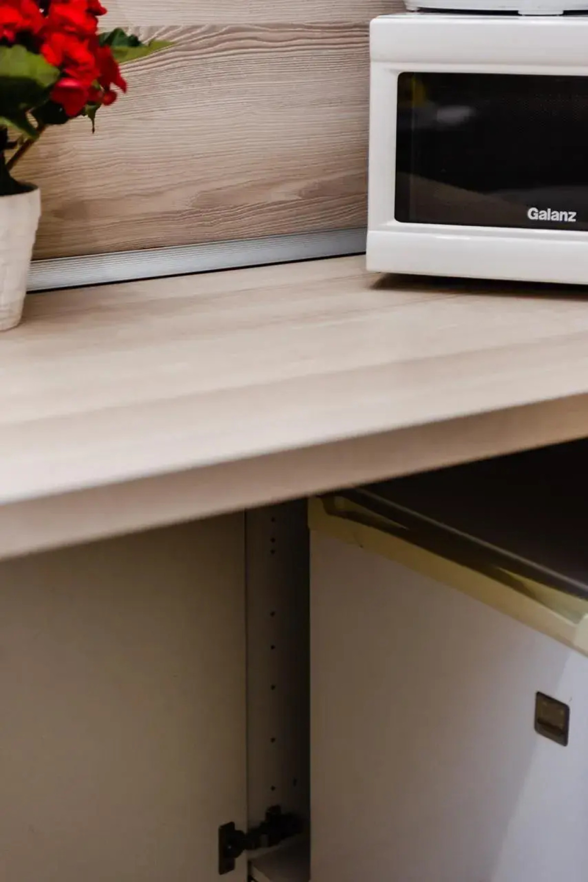 Апартаменты Козицкий переулок 1А (02)