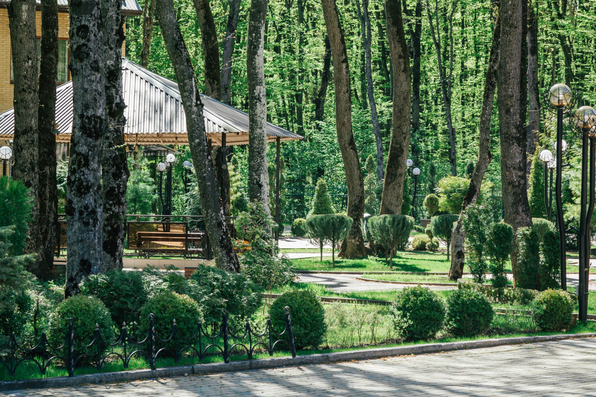 Отель Лесная поляна