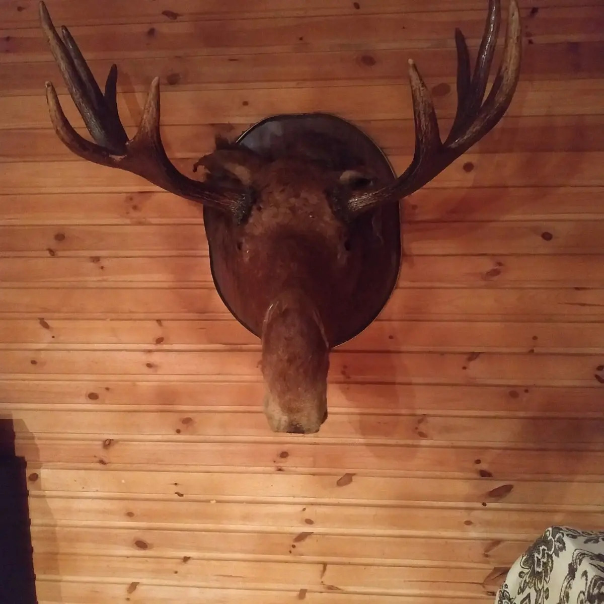 Гостевой дом Агроусадьба у Сан Саныча