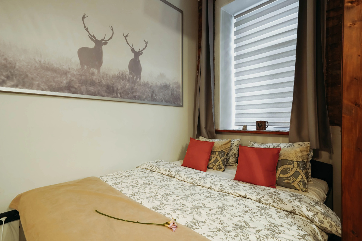 Апартаменты Alpine Castle