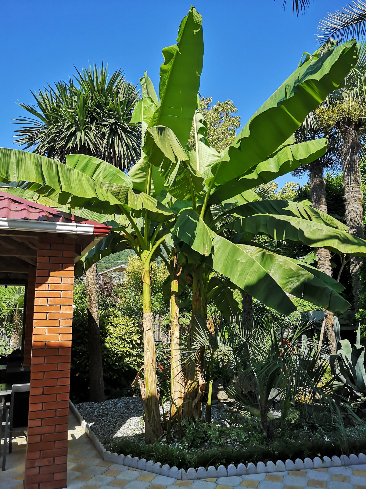 Гостевой дом Форелька