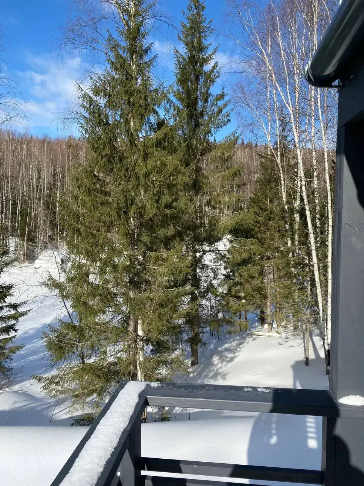 База Отдыха Панорамный