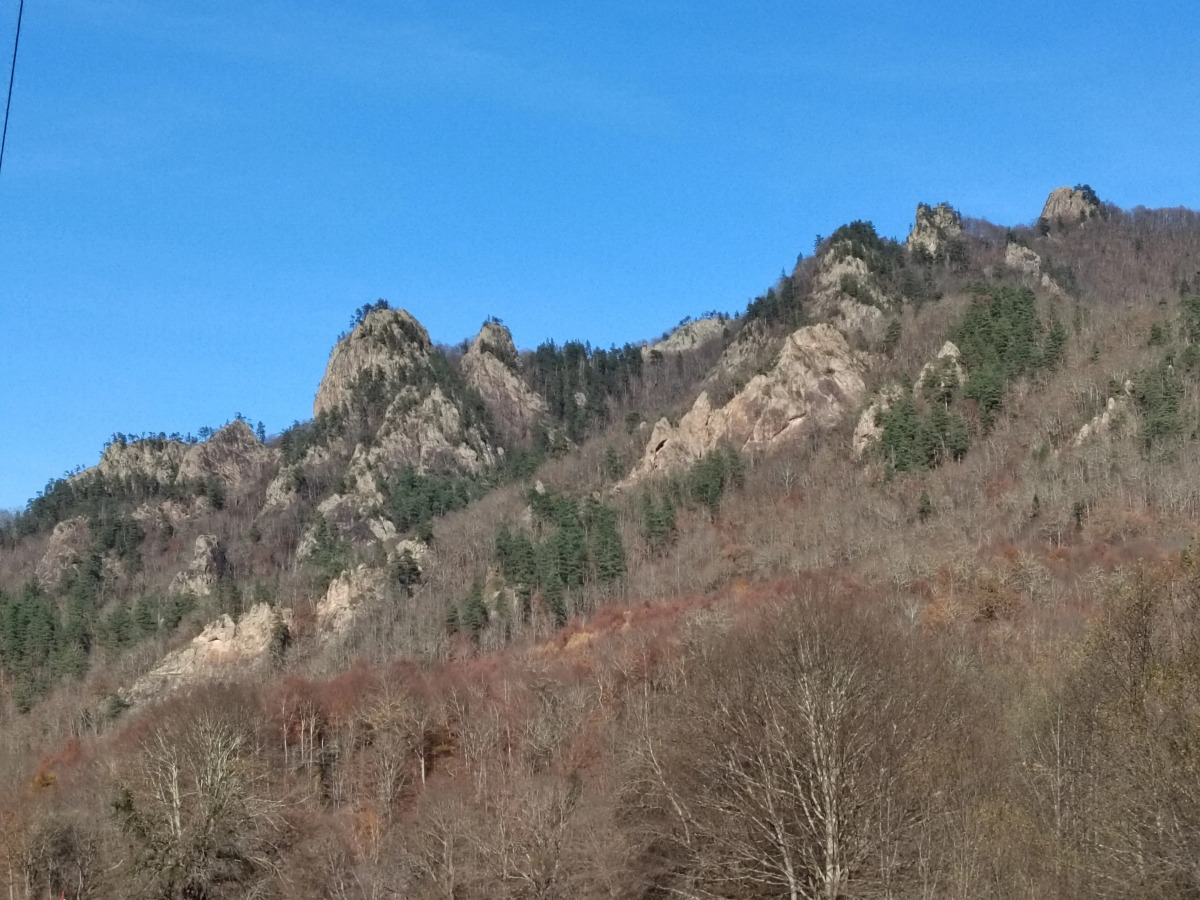 Меблированные комнаты Надежда