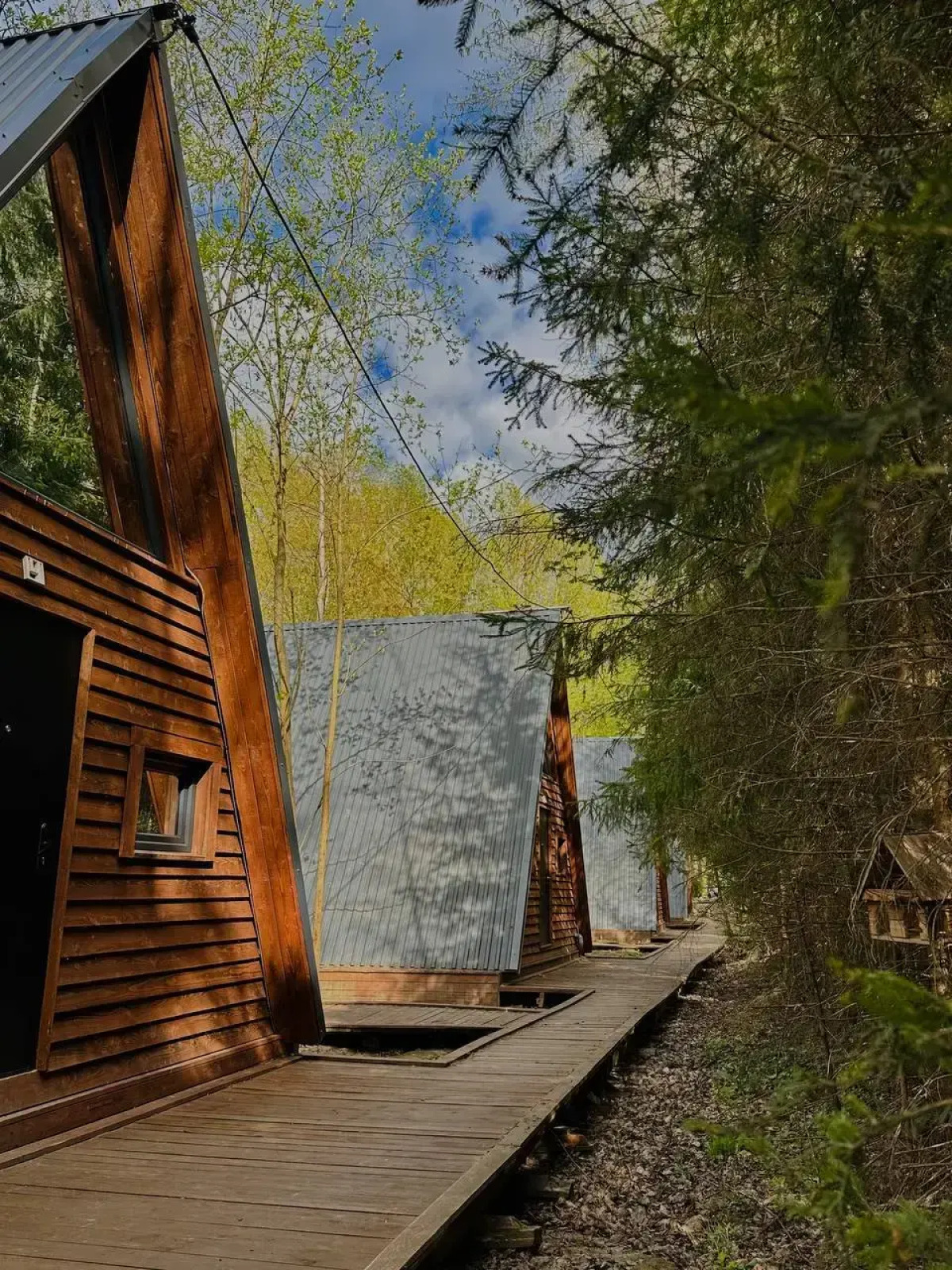 База отдыха Вежи Волжские