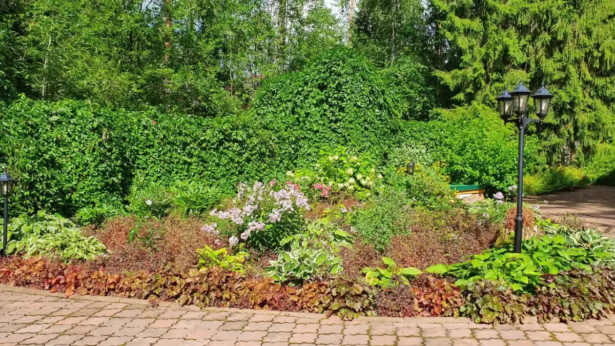 Мини-отель Wish