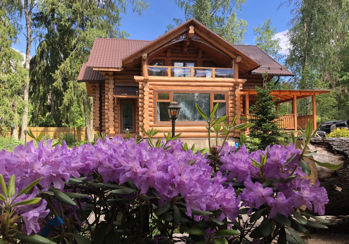 Гостевой Дом Вырицкий Мамонт