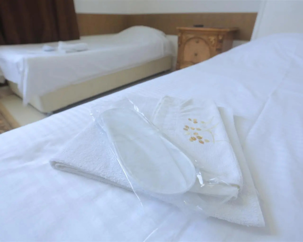 Отель Парма