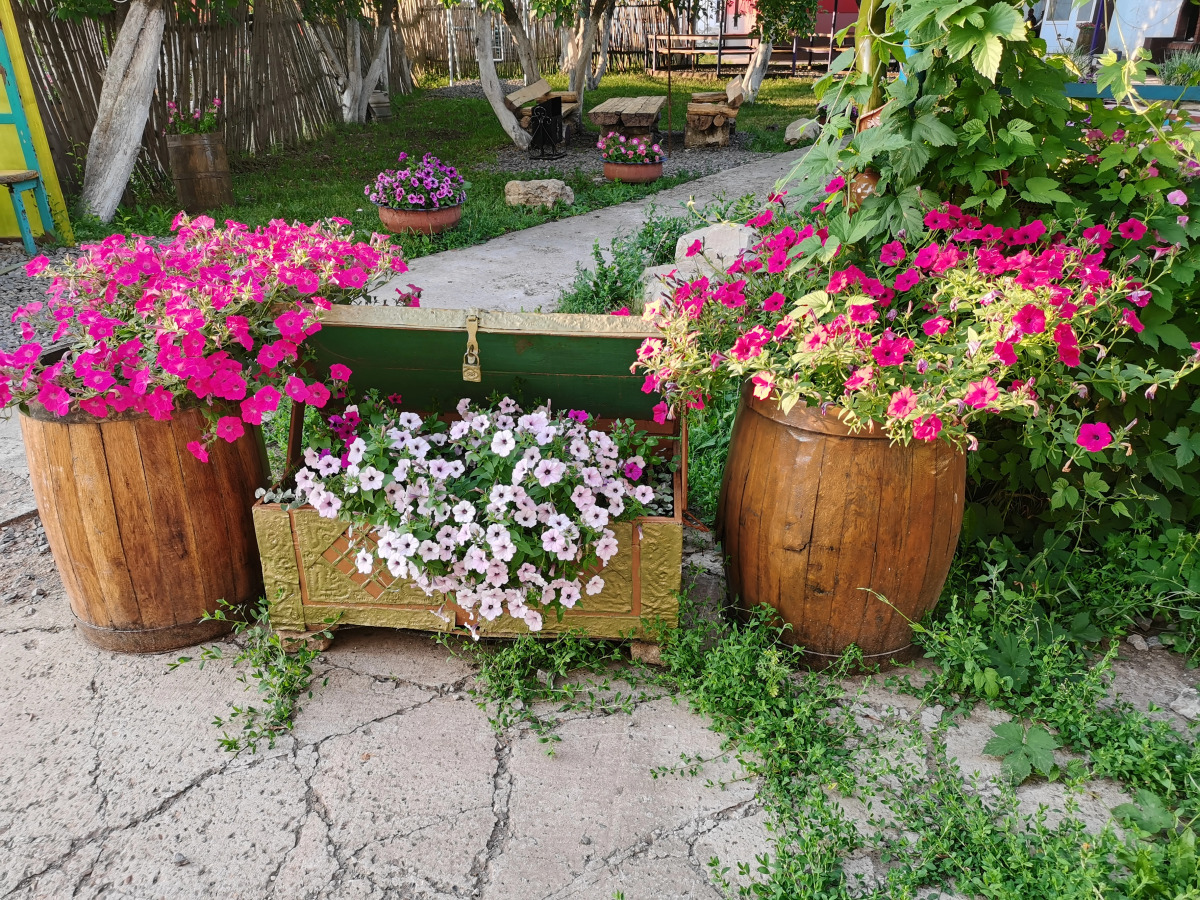 Гостиница Имидж