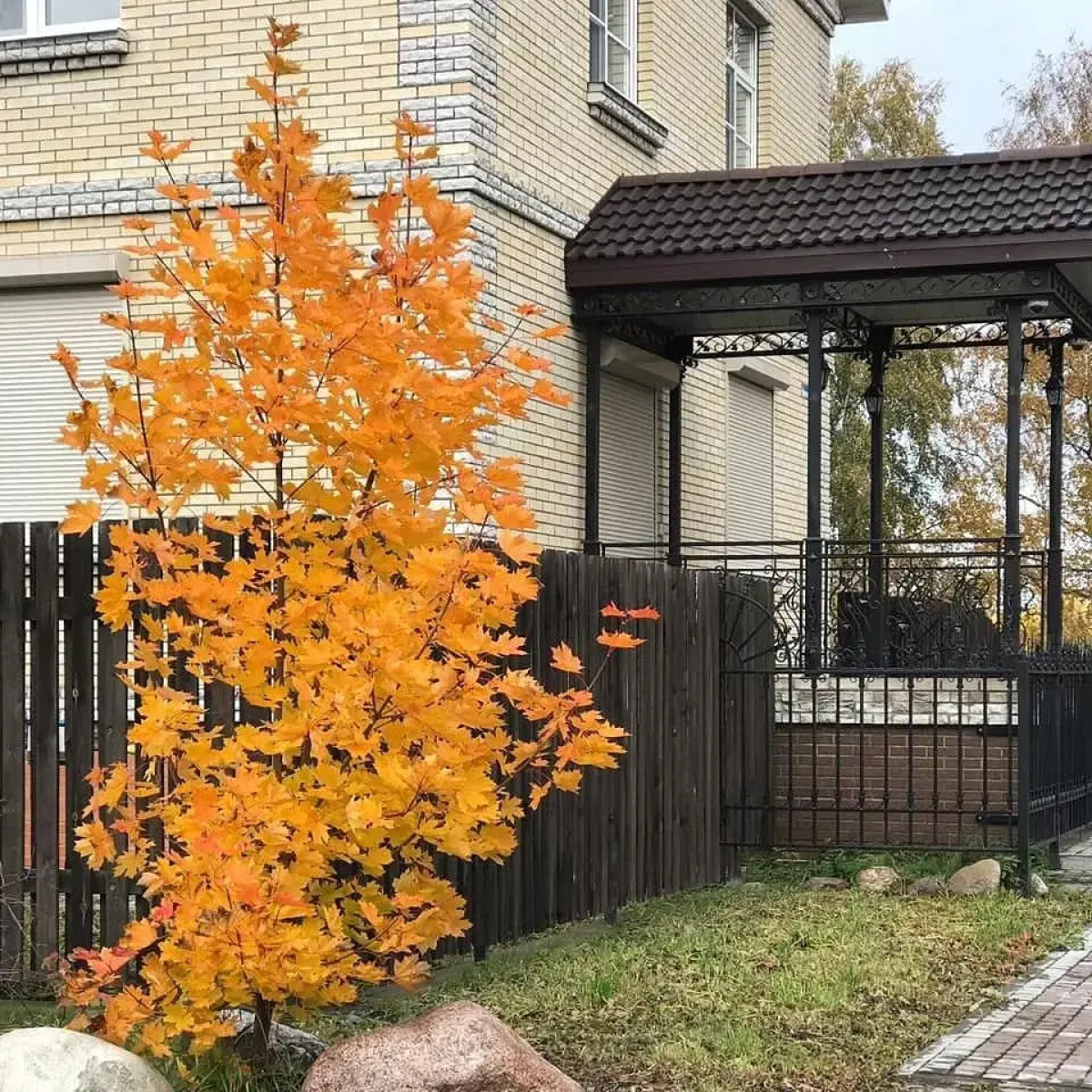 Апартаменты  Чернышевская 39