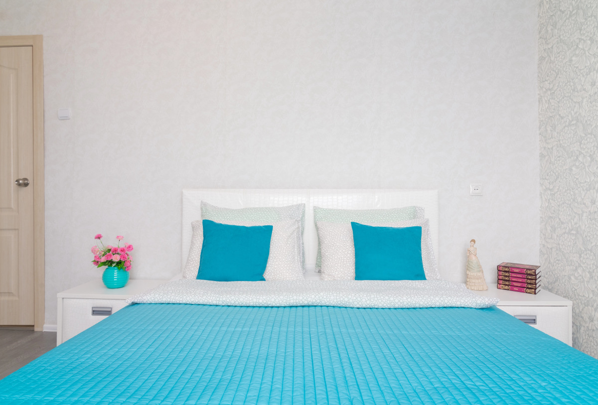 Апартаменты двухкомнатные в самом центре на Большой Покровской 73, Сова-Дом