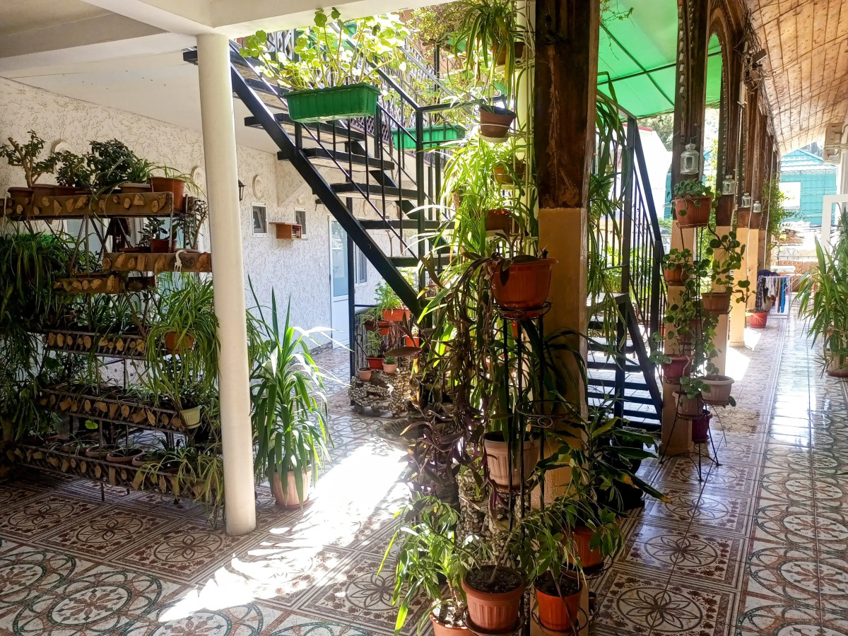 Гостевой дом Кара-Дениз