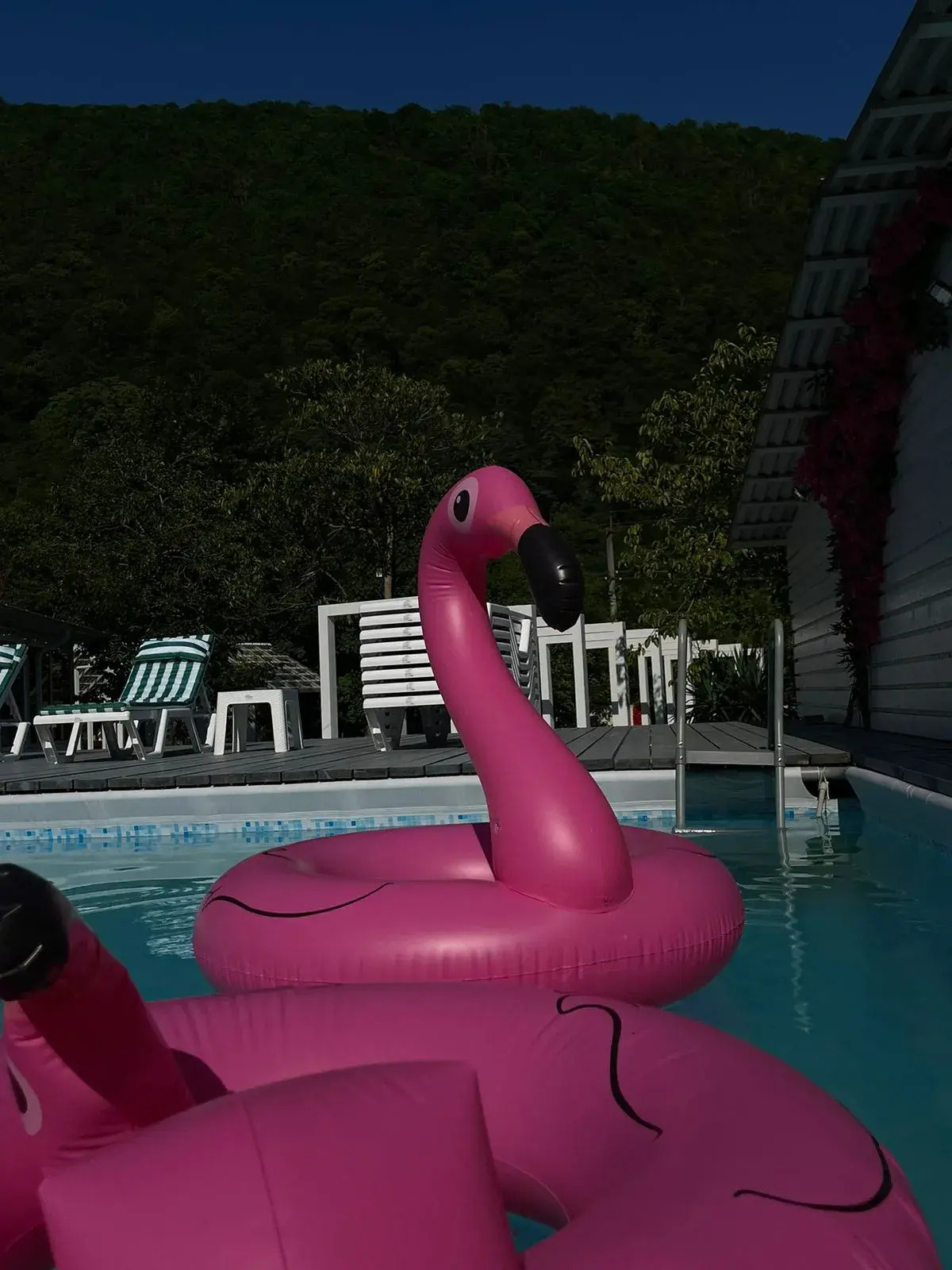 Бутик-отель Фазенда