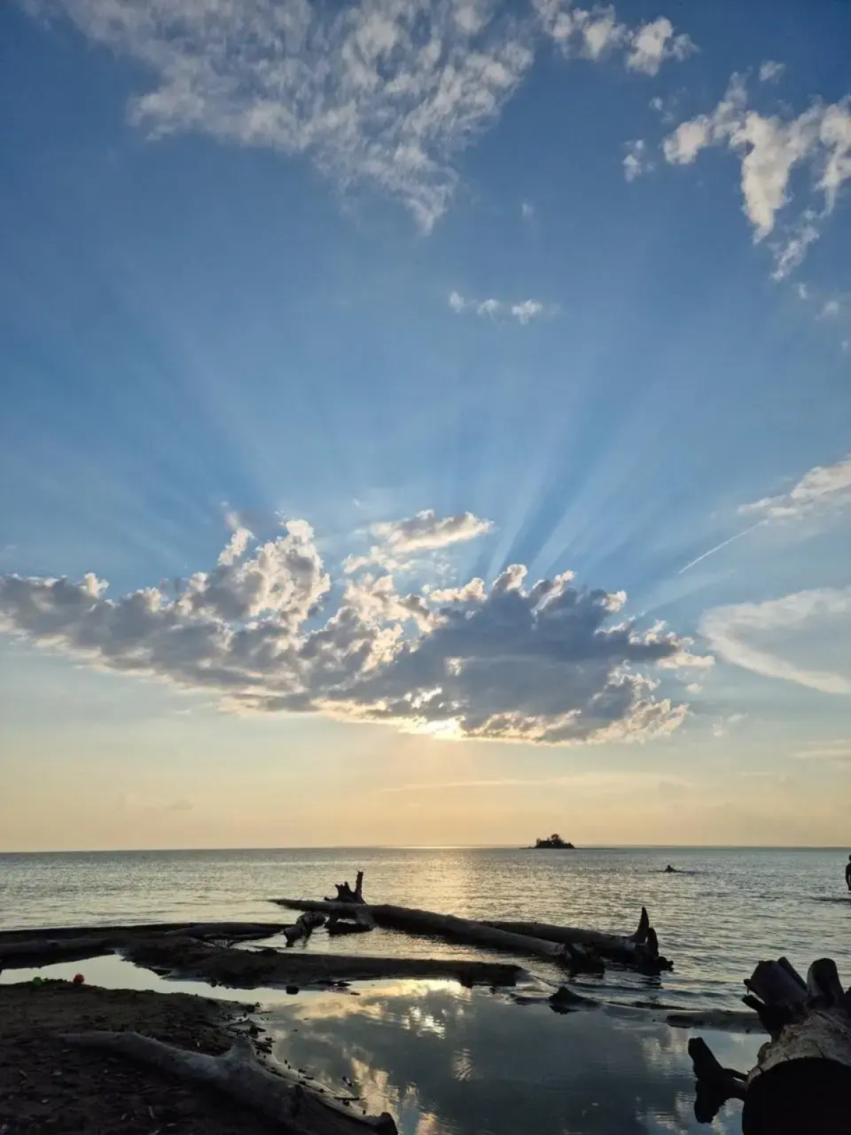 Апартаменты Лесная Свежесть