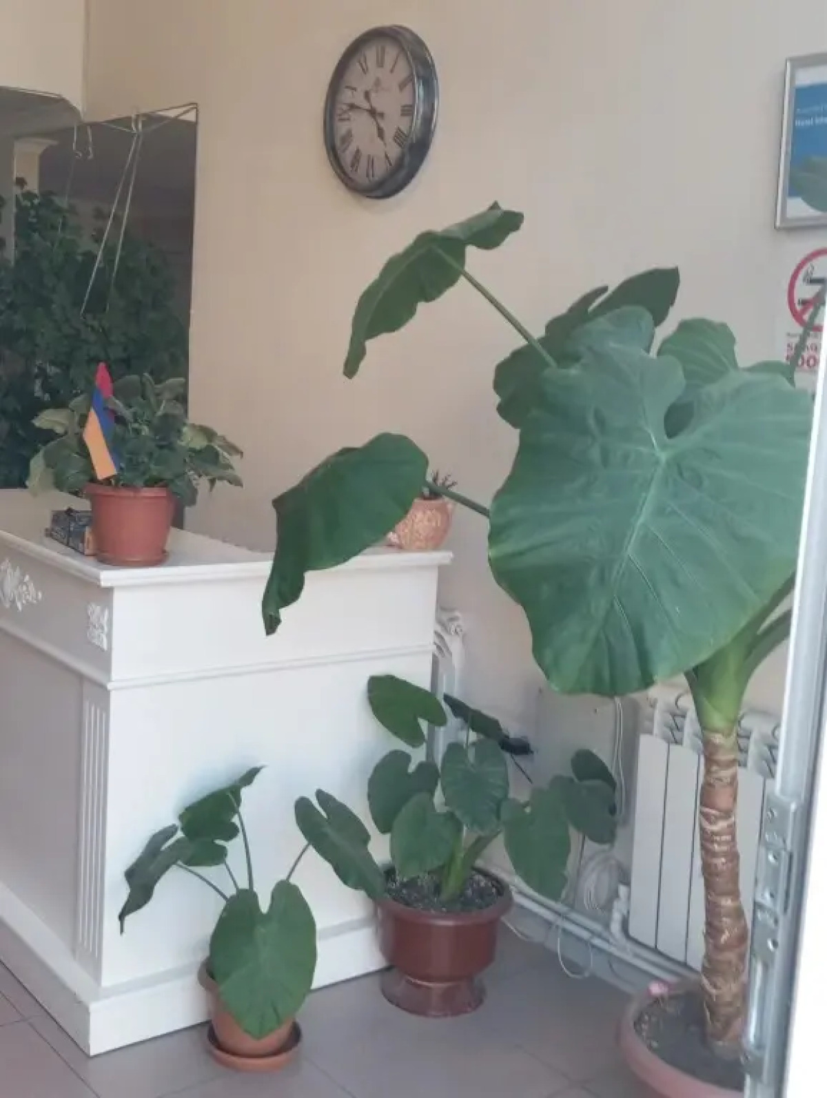 Отель International Hotel Yerevan