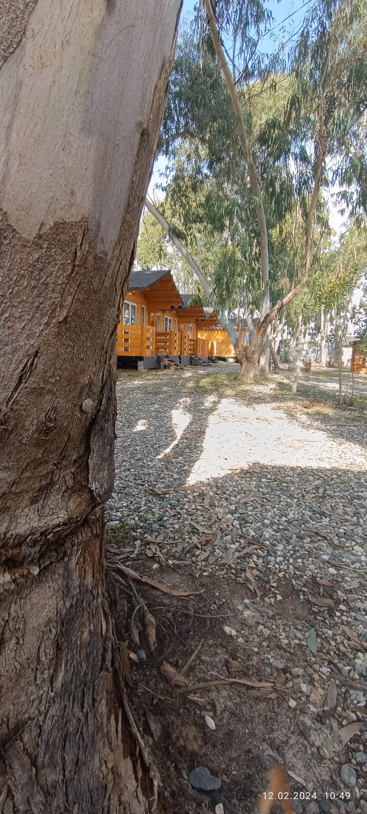 База отдыха Нарт отель