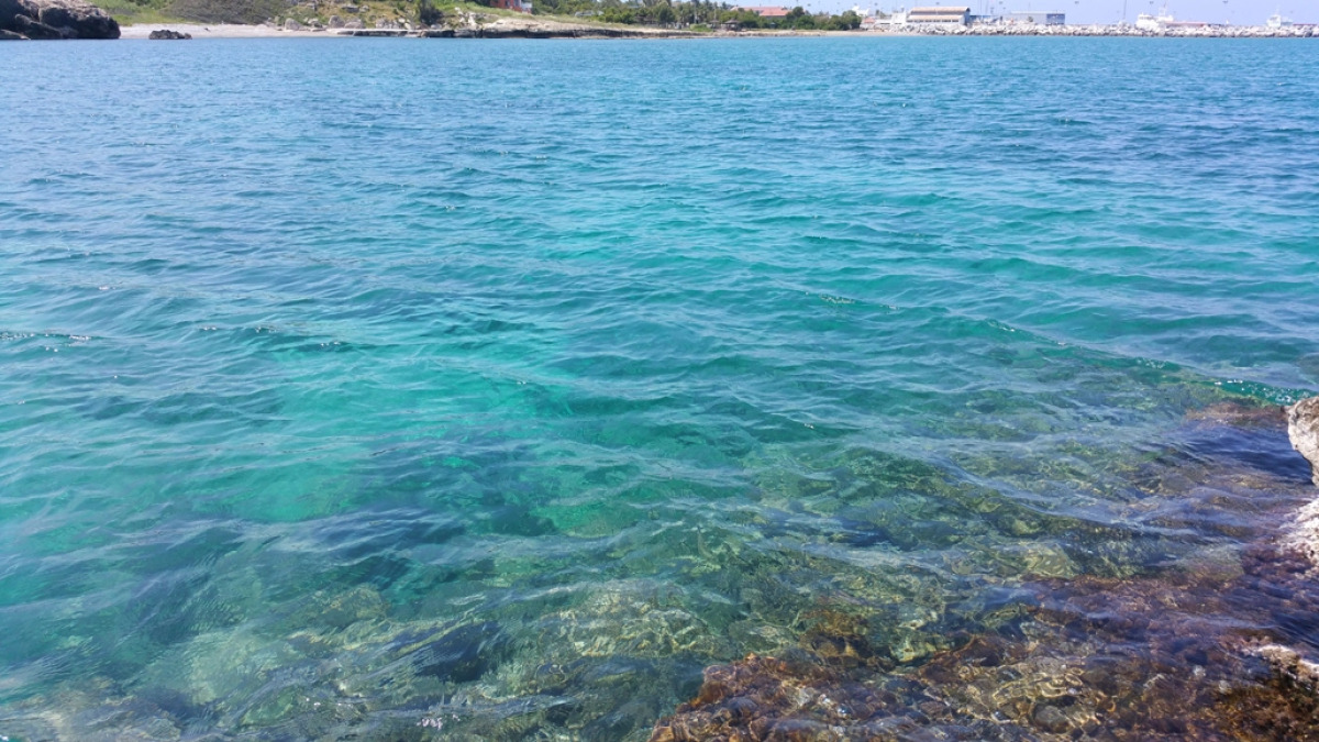 Отель Oscar Resort