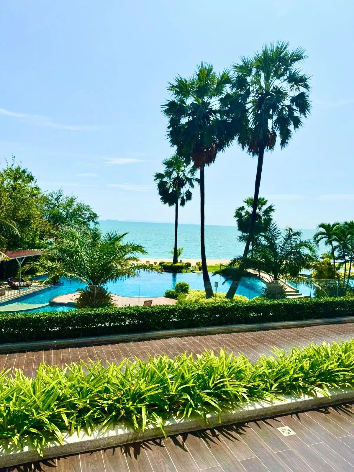 Апартаменты Palm Wongamat Pattaya