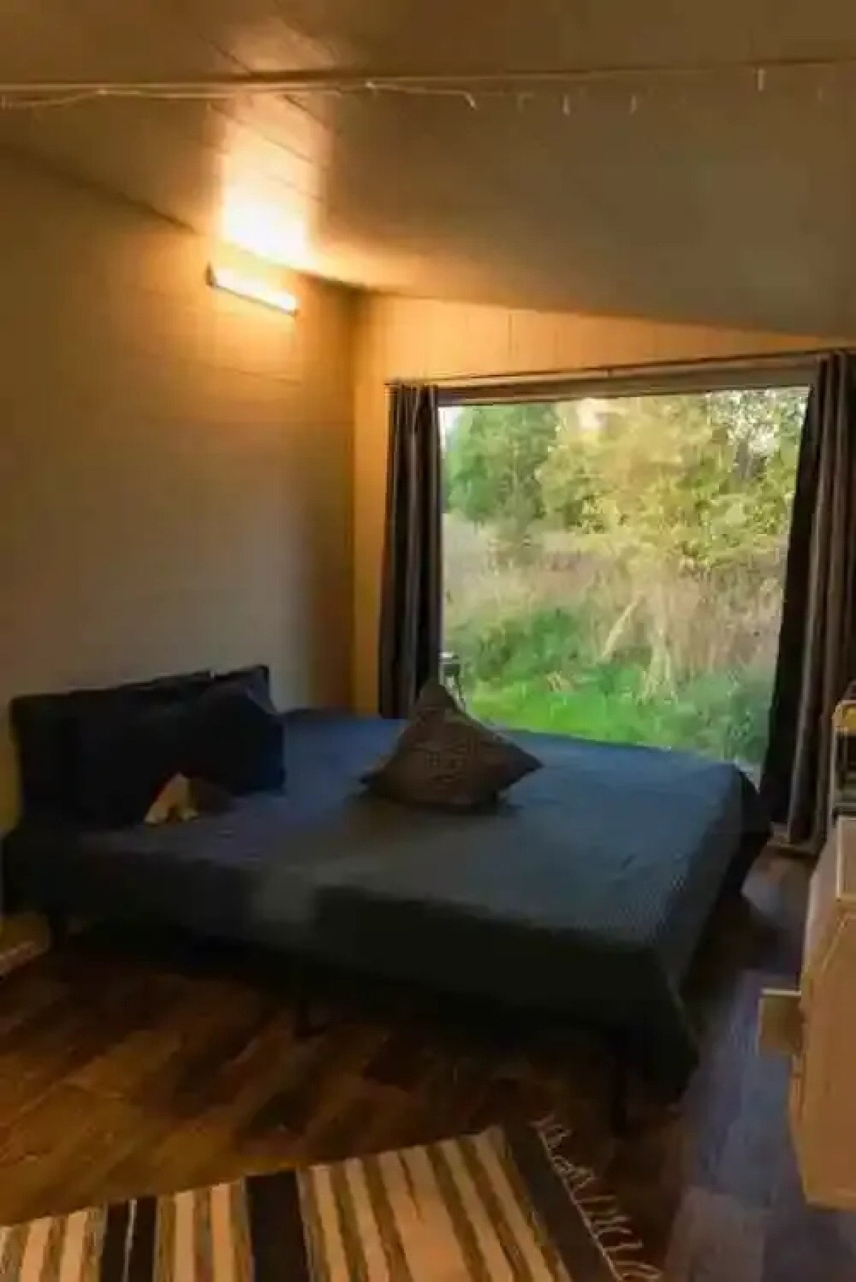 Глэмпинг Папоротник