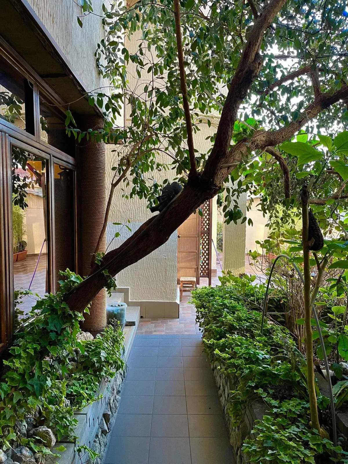 Гостевой дом Лето