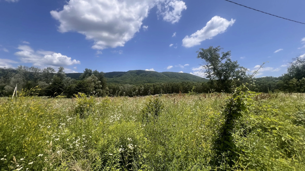 Частный дом Grey Stone у реки