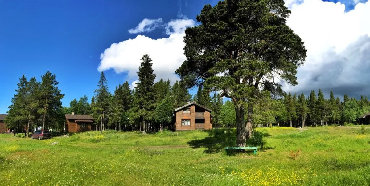 Отель Cedar Grass Белое Море