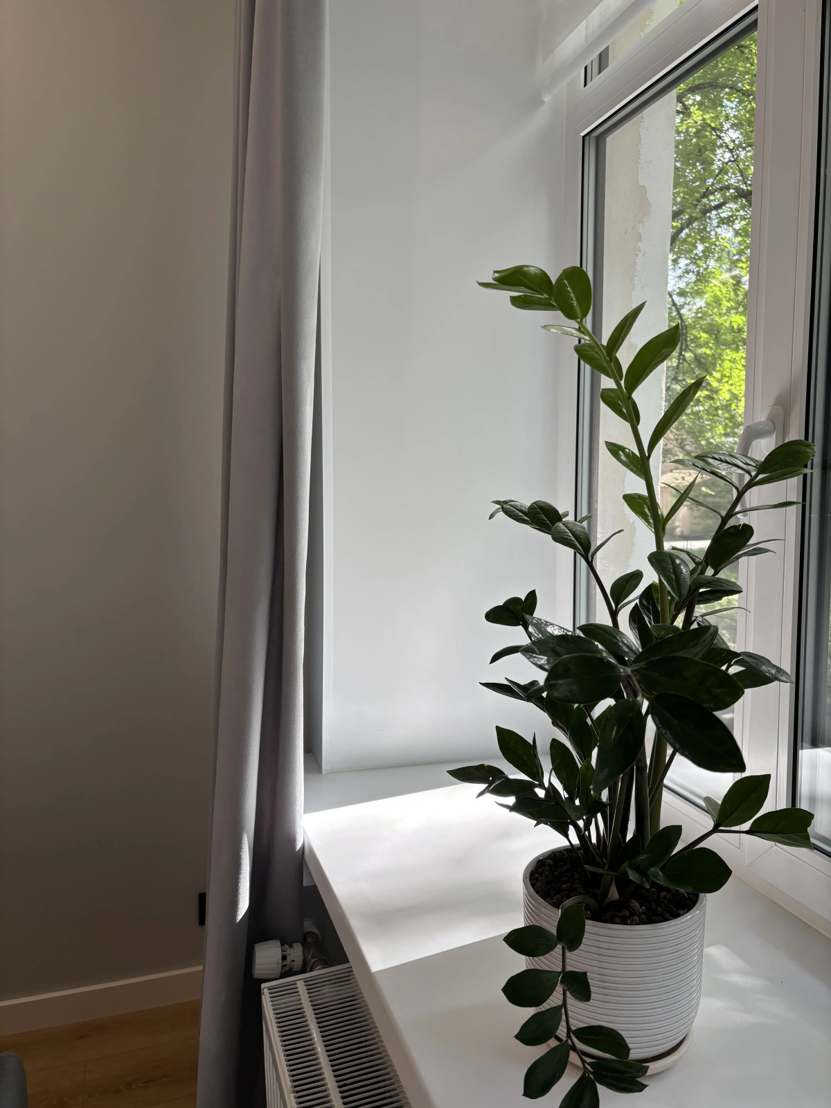 Квартира с парковкой в центре Санкт-Петербурга 2