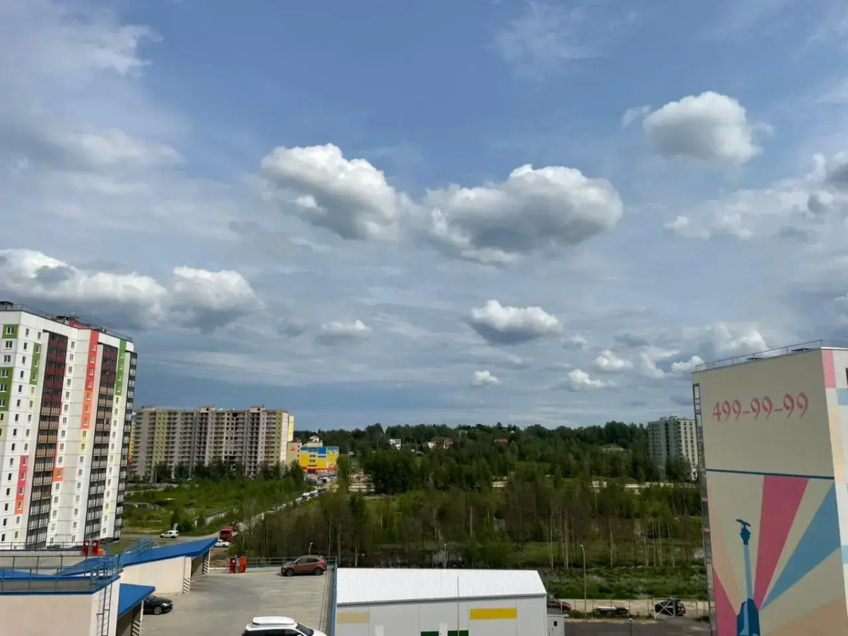 Апартаменты Eco Лес