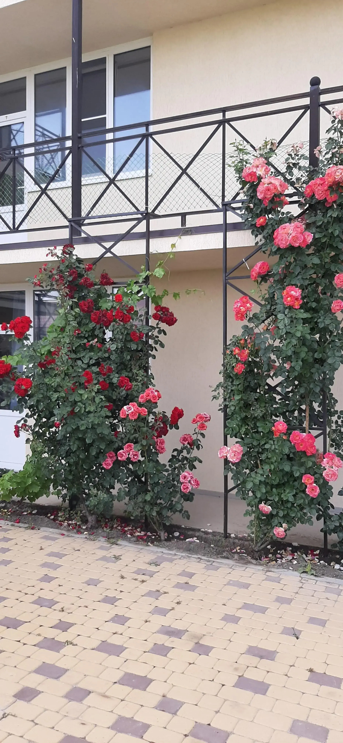 Guest House on Aivazovskogo 38