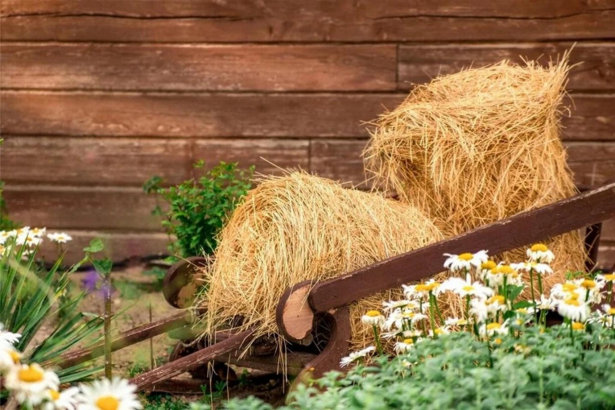 Гостевой Дом Казачий Хуторок