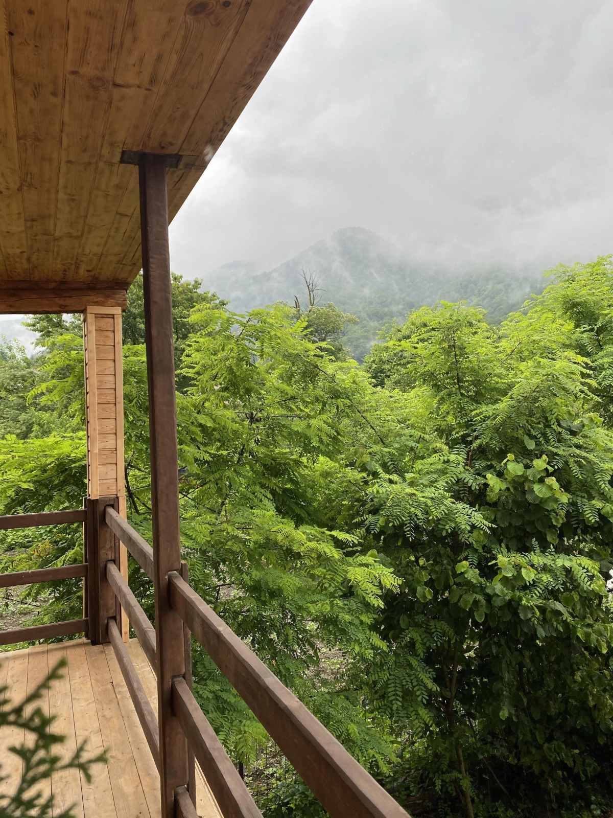 Гостевой дом РА в пространстве SUNSVET