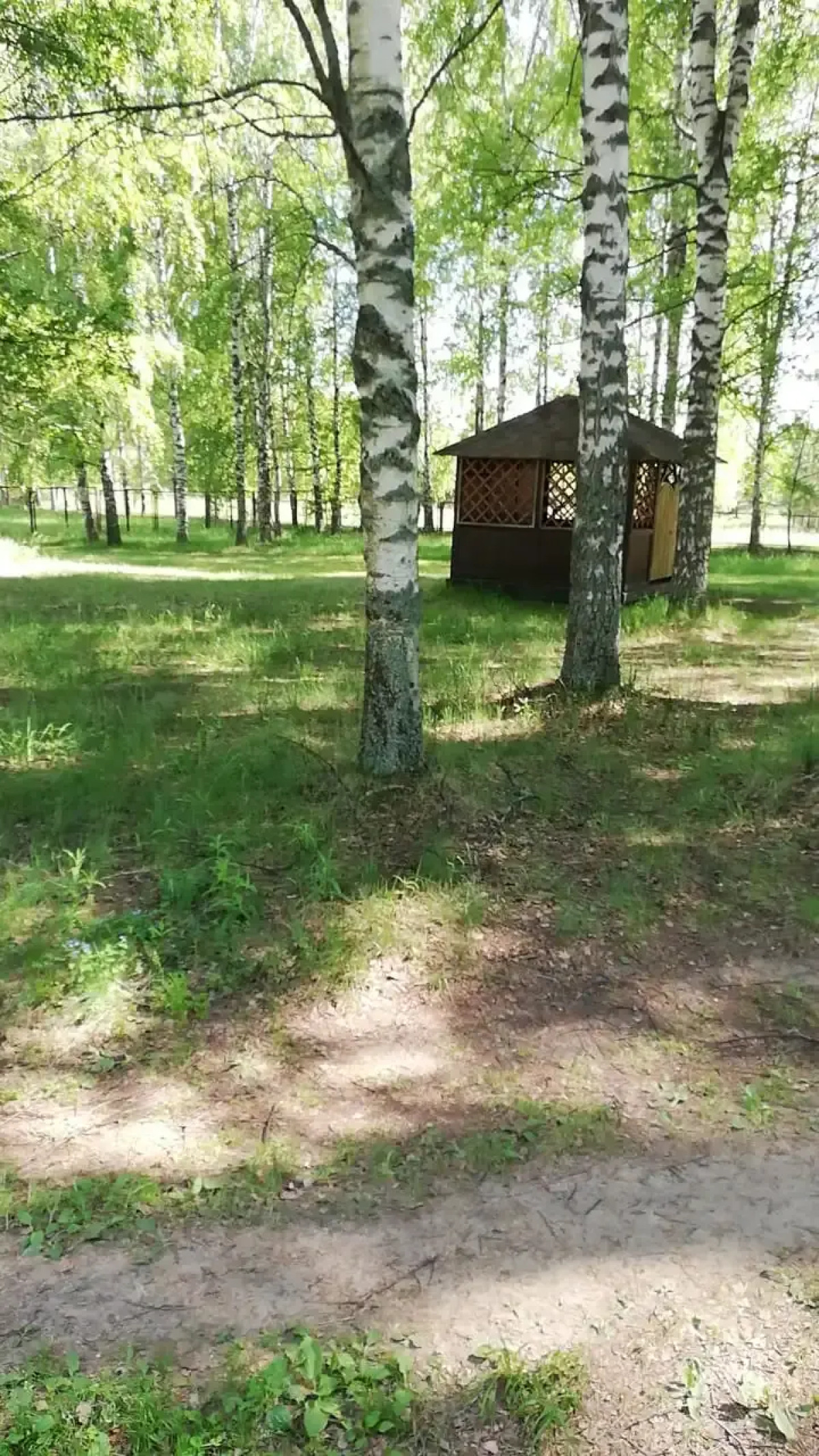 Санаторий Золотой Колос